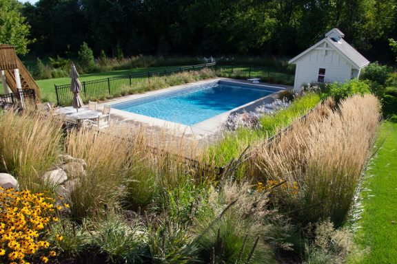 Backyard with a swimming pool surrounded by tall grass and colorful flowers.