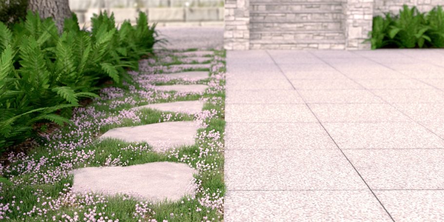 Stone pathway with grass and ferns beside a tiled surface leading to steps.