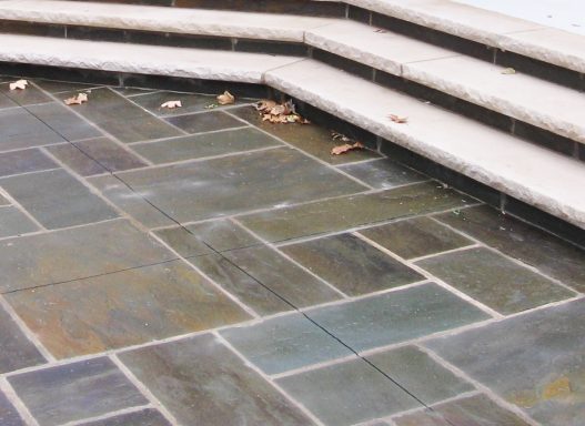 A flat stone surface with a few small leaves scattered around.