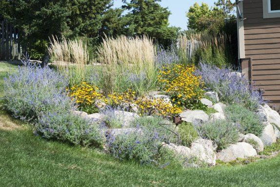 Colorful flower garden with lavender and yellow blooms surrounded by rocks and grasses.