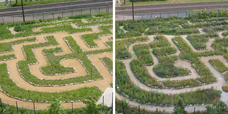 Aerial view of a green maze with pathways and plants, forming intricate patterns.